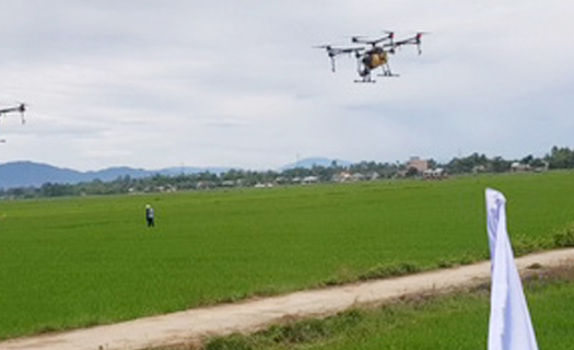 Quảng Nam: Lần đầu tiên triển khai phun thuốc sâu bằng thiết bị bay